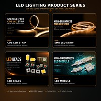 Nuevo Producto de Alta Eficiencia, Módulos LED Samsung de 170 Grados IP68 DC24V 2835 para Letreros LED y Tiendas LED