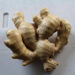 कारखाने की उच्च गुणवत्ता वाले ताजा अदरक ग्रेड 1 उज्ज्वल पीले 10 किलोग्राम/12 किलोग्राम/30 एलएलबी पीवीसी बॉक्स ताजा शांडोंग चीन थोक - Product Image 6