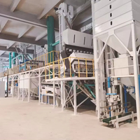 3t 5t 10t 15t Machines de traitement de grains de café Machine de nettoyage et de séchage Machine à décortiquer les grains de café secs polisseuse niveleuse