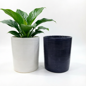 Nouveauté 2026 : Pots <span class=keywords><strong>de</strong></span> fleurs en céramique côtelée minimalistes pour la <span class=keywords><strong>d</strong></span>écoration moderne <span class=keywords><strong>de</strong></span> la maison et du jardin, plantes et fleurs <span class=keywords><strong>d</strong></span>'intérieur - Product Image 1