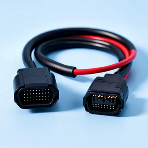 อะแดปเตอร์สายไฟ ECU สำหรับยานยนต์ 21690 แกนทองแดง ฉนวน PVC/ไนลอน/PBT/PTFE/ยาง ยาว 300 มม. IP65 ขั้วต่อ 12V - Product Image 1