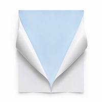 Feuilles d'étiquettes autocollantes A4 semi-brillantes personnalisées Antac, papier couché 80 g/m², face d'étiquette en papier d'art, fabricant mondial, vente en gros