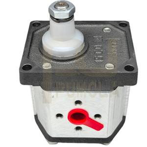 Bomba de Engranajes Hidráulicos PFG-142-D-R0, Serie PFG, PFG-327/D/RO, PFG-214/D/RO, PFG-214/D, PFG-128-D, PFG-142-D, PFG-218-D, PFG-135 - Product Image 6