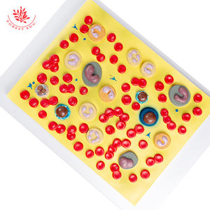 의료 model 피 혈소판 피 셀 의 인간의 model - Product Image 4