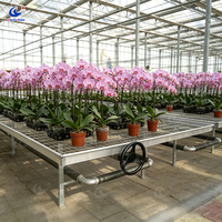 Chenchao Fournisseur en gros : Lit de pépinière avec treillis métallique, table en treillis métallique et banc roulant mobile pour la culture des fleurs