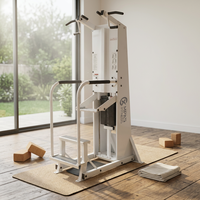 Machine de traction assistée et de dips avec pile de poids en acier pour salle de sport commerciale - Exercice pour le dos et les bras