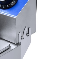 Friteuse Professionnelle Électrique de Comptoir Double Bac Double Panier pour Frites, Dessus en Acier Inoxydable Argenté, Équipement de Restaurant Fourni