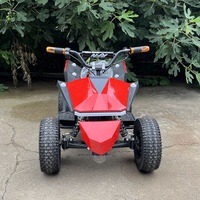 Buggy tout-terrain personnalisé avec logo, pour dunes et plage, véhicule tout-terrain pour parc d'attractions, aventure en plein air, 350W, 120KGS, OEM ODM