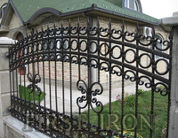 Hermosa valla artística de hierro forjado, paneles de valla curvada ornamental hierro forjado