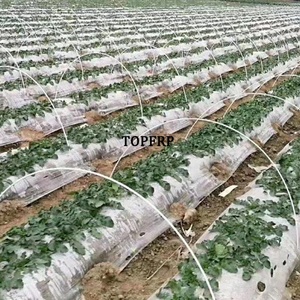 Eco-friendly Agriculture Support Fiberglass Garden Stake/sticks/<b>rods</b> - Product Image 6