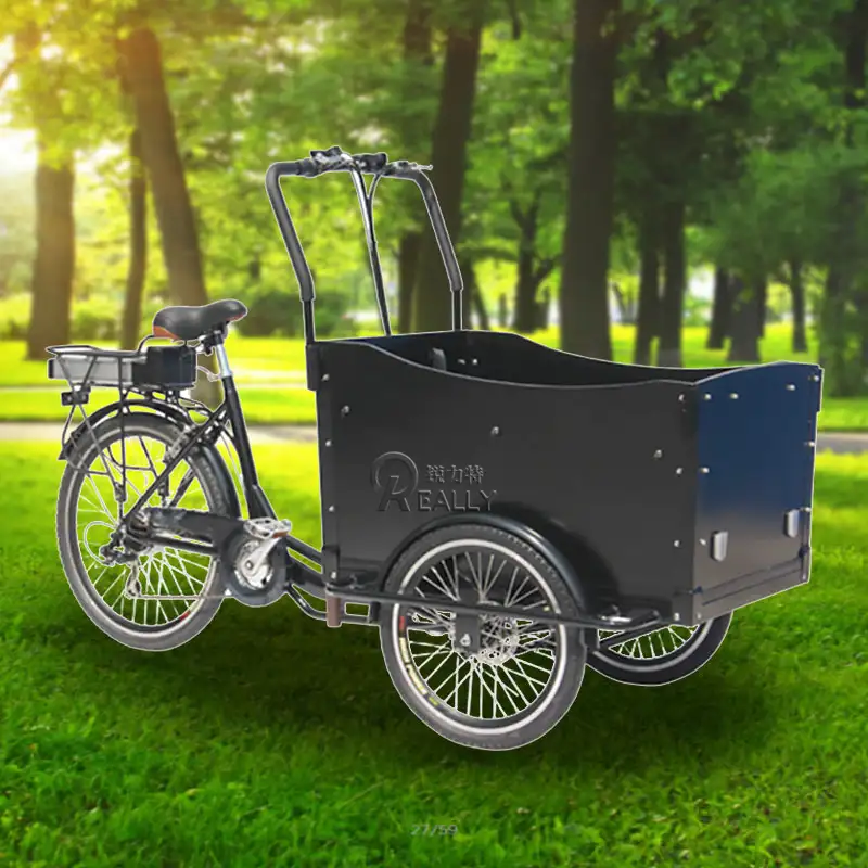 2022 क्लासिक 3 पहियों बिजली तिपहिया अनुकूलित ले जाने बच्चों के परिवार पेडल वयस्क कार्गो बाइक Tricycle