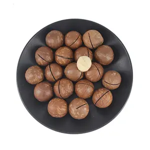 Hot selling Good Quality Macadamia Nut for Sale