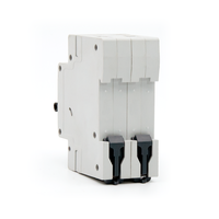 ETM3 Disjoncteur miniature noir 2P 6KA Kema 40 ampères 63a surcharge court courant alternatif sécurité maison haute qualité Din Rail