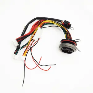 Nice Quality Cable Assembly Customized Automotive Wire Harness OEM ODM Wiring Harness