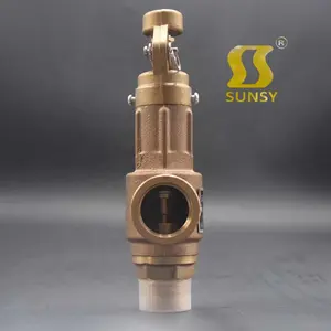 Válvula de seguridad para caldera de vapor, conexión de rosca de elevación completa, BSP, latón, bronce, control de forjado, alta presión, reducción de alivio