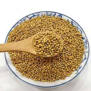 Semillas de Mostaza Amarilla Naturales, Frescas y Crudas al por Mayor - Product Image 3