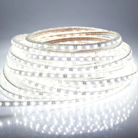 Bande lumineuse LED 2835 110v 220v 100m/rouleau Étanche