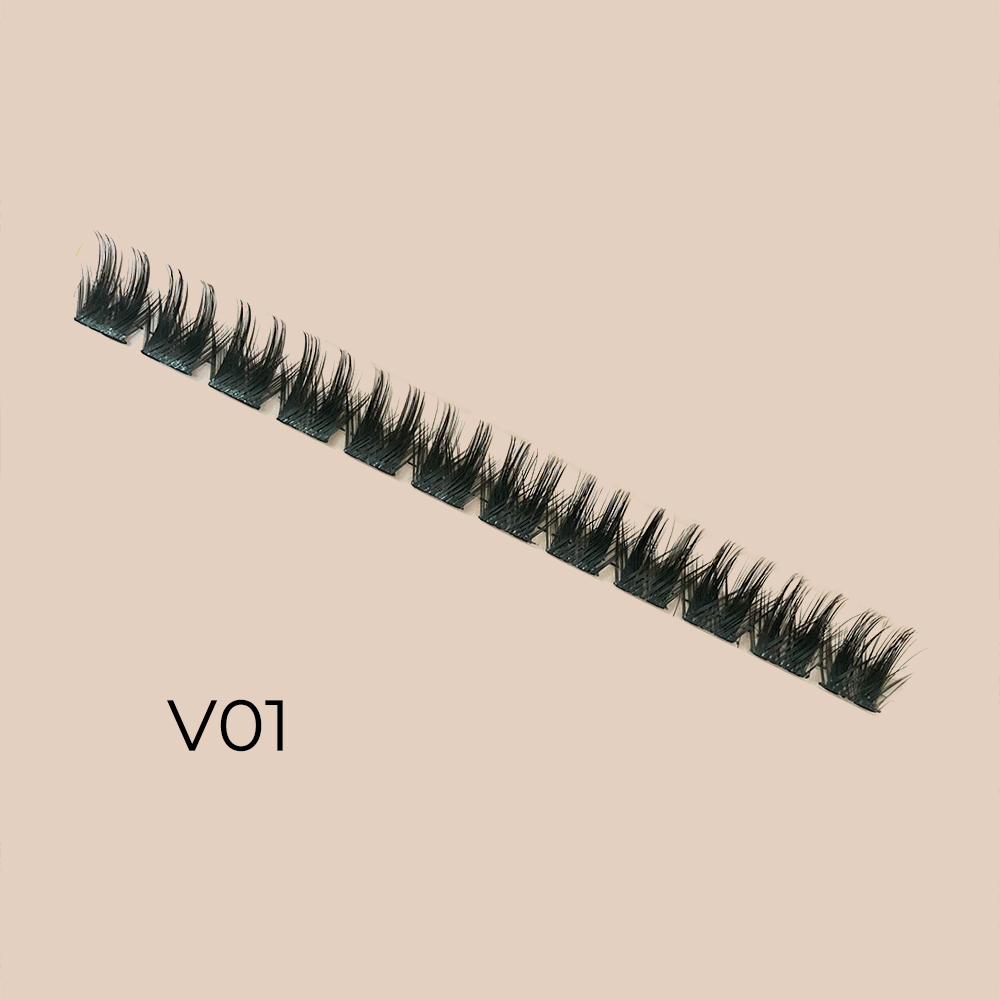version 01