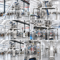 Machine d'emballage verticale VFFS industrielle entièrement automatique pour la ligne de traitement des aliments pour animaux de compagnie, croquettes et granulés