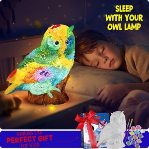 Juguete luminoso suave conejito búho muñeca DIY pintura jardín de infantes juguete noche luz pintada modelo juguetes <span class=keywords><strong>para</strong></span> <span class=keywords><strong>colorear</strong></span> caja de Color regalos de navidad - Product Image 3