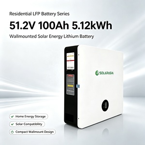 Batterie lithium LifePO4 51,2 V 100 Ah pour stockage d'énergie résidentiel, montage mural, cycle profond, 5,12 kWh, pack de batteries lithium-ion pour la maison - Product Image 6