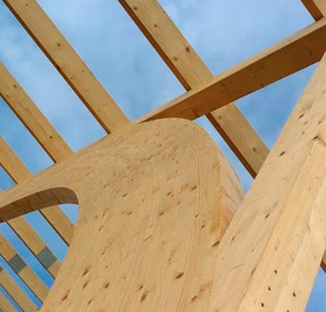 Poutres de pont en bois lamellé (qualité infrastructure) - Product Image 3