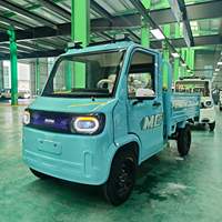 Camionnette électrique à batterie lithium, mini véhicule utilitaire léger, véhicule à énergie nouvelle 2 portes 2 places pour adultes