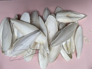 Qualité parfaite prix usine os de seiche taille du client à partir de 4cm poudre de coquillage en gros prêt pour l'exportation 2025 - Product Image 5