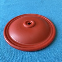 Accessoires pour pompe à diaphragme Wilden CF15-219, importés, 100 % caoutchouc, 1/2, pièces pneumatiques Blagdon, industrie automobile, bas prix