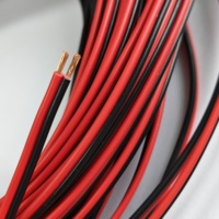 Câble de haut-parleur rouge et noir 16AWG, fil de haut-parleur parallèle à 2 conducteurs pour voiture et home cinéma, rouleau de 100 m
