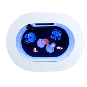 Table de vue pour aquarium de méduses, réservoir ovale en plastique noir écologique de 8L, lumières <span class=keywords><strong>color</strong></span>ées, articles polyvalents, offre spéciale - Product Image 2