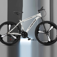 Vélo de montagne pour adultes, 24 pouces, 26 pouces, 21 vitesses, vélo tout-terrain, absorption des chocs, frein à double disque