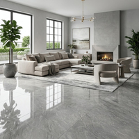 Carreaux de sol en porcelaine gris brillant de haute qualité pour salon, Porcelanato Lujoso Careaux De Sol Maison 6060 120x120, prix abordable
