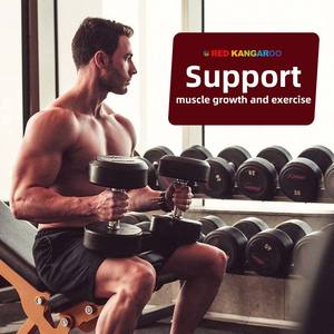 Factory Outlet Creatine Sports Energy Gummies para adultos <span class=keywords><strong>Muscle</strong></span> <span class=keywords><strong>Building</strong></span> Suplemento nutricional - Product Image 2