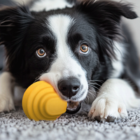 Jouet interactif pour chien, balle en mousse E-TPU durable, balle rebondissante, jouet d'entraînement pour animaux de compagnie respectueux de l'environnement
