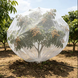 Rete Anti-Insetti in HDPE Stabilizzato ai Raggi UV, 40 Mesh, Protezione per Piante in Serra, Anti-<span class=keywords><strong>Uccelli</strong></span>, Anti-Grandine per Agricoltura e Frutteti - Product Image 3