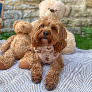 冬の高級ファッション刺繍なしプルパッド入り小型テディ犬ハーネスセットスカーフリーシュ襟うんちバッグホルダーカスタムデザイナー - Product Image 5