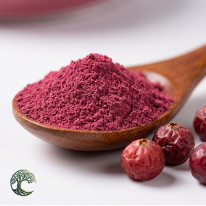 Polvere di Succo di Mirtillo Rosso Naturale OEM con Etichetta Privata, Solubile in Acqua, Polvere di Mirtillo Rosso Istantanea, Vendita all'Ingrosso, 100% Pura - Product Image 2