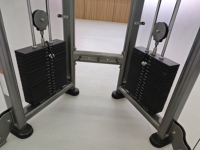 Banco de gimnasio multifuncional con extensión de rizo de pierna, pasador de rizo de bíceps, selección de carga, máquina de fila, escalador de escaleras, para entrenamiento
