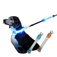 Collier et bandeau lumineux multifonctionnels à LED transfrontaliers en PVC pour animaux de compagnie avec laisse, toutes saisons