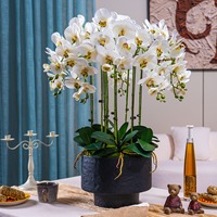 Arrangement de fleurs d'orchidées artificielles NI avec pot, plante d'orchidée Phalaenopsis réaliste pour la décoration de table à la maison, plante artificielle