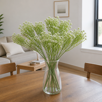 Bouquet de Gypsophile Artificielle en Plastique en Gros, 6 Couleurs, Aspect Réaliste, pour Mariage, Fête, Décoration Intérieure, Remplissage Floral en Vrac