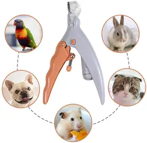 Pet Nail Clipper forbici Pet Dog Cat Nail Toe Claw forbici LED Light Nail Trimmer gatti cani Dog Grooming Animal Pet Supplies