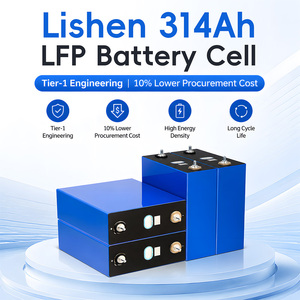 Batería Prismática LiFePO4 Lishen <span class=keywords><strong>de</strong></span> 314 Ah con Certificación ESI, IEC62619, UN383, Ciclo Profundo, 3.2V, Recargable, Solución Energética para el Hogar - Product Image 1