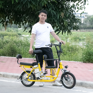 Bicicleta Eléctrica con Motor de Alta Potencia, Bicicleta con Motor Eléctrico, Precio de Bicicleta Eléctrica en Europa, Nuevo Modelo - Product Image 1