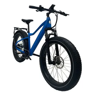 Eu Europa Magazijn Dropshipping Ebike Elektrische Mountainbike E Bike Aluminium Mtb Cyclus Voor Volwassenen