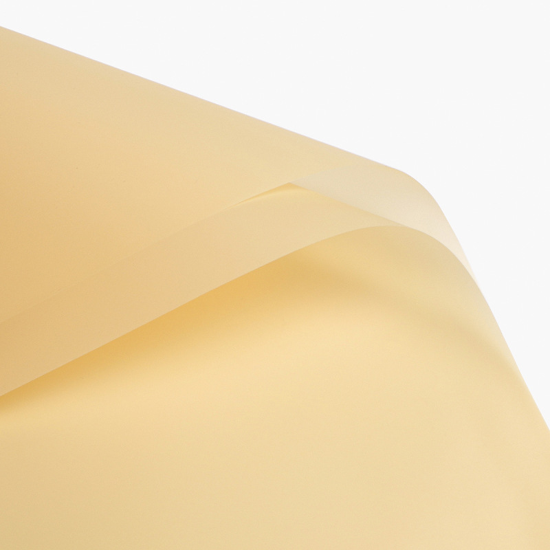 Couleur champagne [20 feuilles]