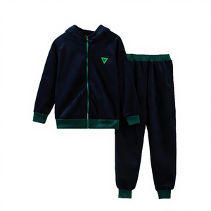 Ensemble de vêtements décontractés en velours doré pour garçons, automne-hiver, deux pièces avec sweat à capuche et pantalon long - Product Image 4