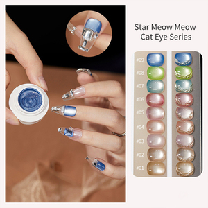 AILANUO OEM Nail Polish Supplies New Nail Trend 9colors Collection Diamond Reflective galaxy Magnetic <b>Cat</b> Eye Gel Polish Set Box - Product Image 3
