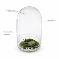 Terrarium en verre borosilicate fait main avec couvercle en verre et trou de ventilation, récipient transparent pour exposition de plantes